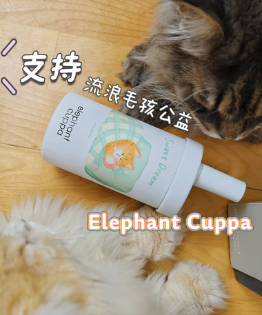 哩啾吉白 _(ฅ´ω`ฅ)